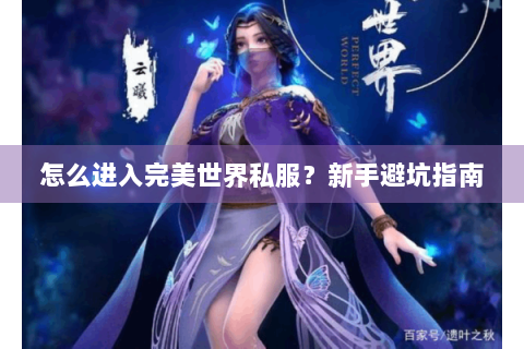 怎么进入完美世界私服？新手避坑指南