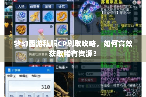梦幻西游私服CP刷取攻略，如何高效获取稀有资源？