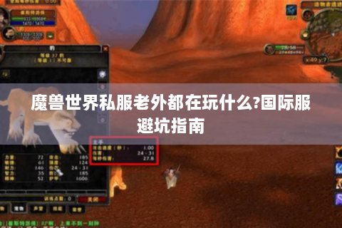 魔兽世界私服老外都在玩什么?国际服避坑指南