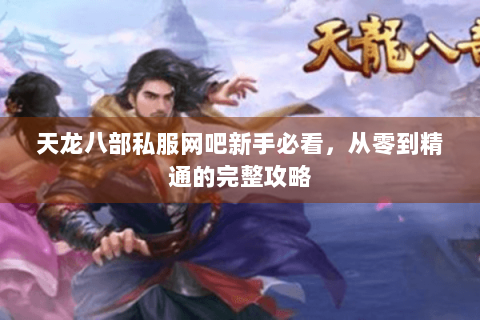 天龙八部私服网吧新手必看，从零到精通的完整攻略