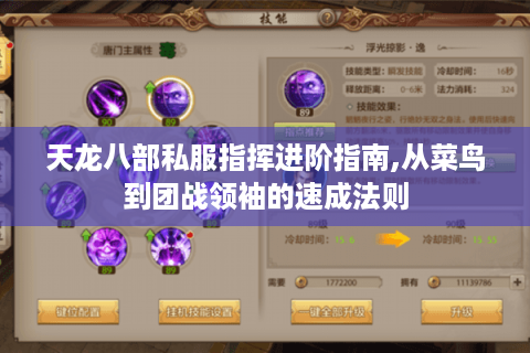 天龙八部私服指挥进阶指南,从菜鸟到团战领袖的速成法则