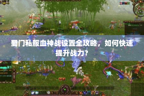蜀门私服血神战设置全攻略，如何快速提升战力？