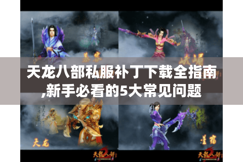 天龙八部私服补丁下载全指南,新手必看的5大常见问题