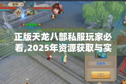 正版天龙八部私服玩家必看,2025年资源获取与实战进阶全攻略