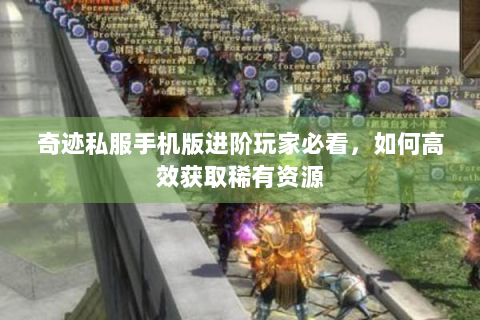 奇迹私服手机版进阶玩家必看，如何高效获取稀有资源