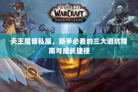 天王魔兽私服，新手必看的三大避坑指南与成长捷径