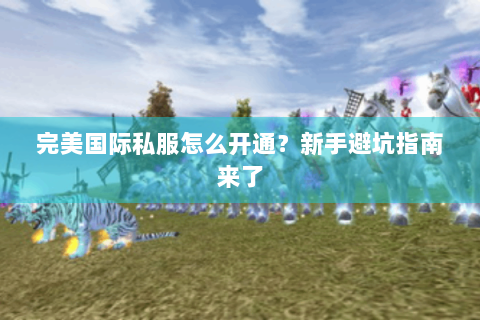 完美国际私服怎么开通？新手避坑指南来了