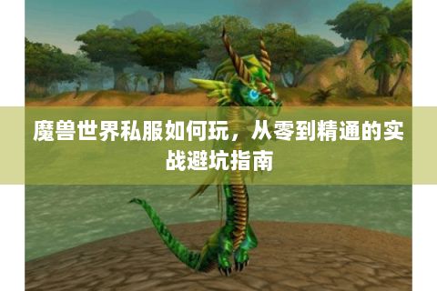 魔兽世界私服如何玩，从零到精通的实战避坑指南