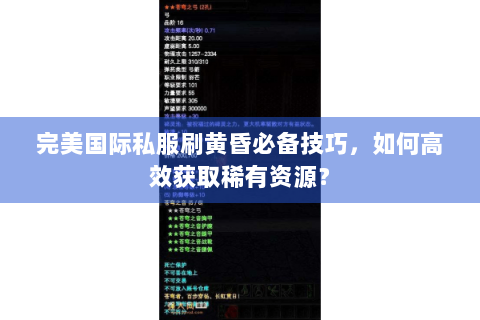 完美国际私服刷黄昏必备技巧，如何高效获取稀有资源？