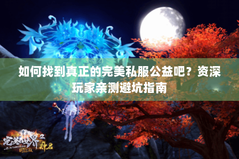如何找到真正的完美私服公益吧？资深玩家亲测避坑指南