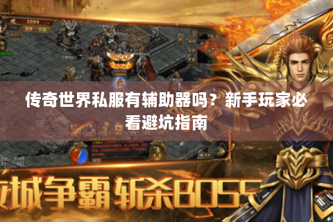 传奇世界私服有辅助器吗？新手玩家必看避坑指南