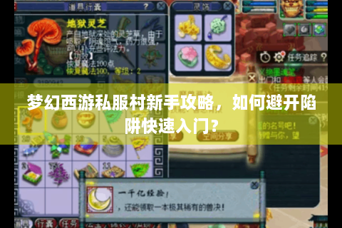 梦幻西游私服村新手攻略，如何避开陷阱快速入门？