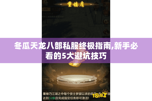 冬瓜天龙八部私服终极指南,新手必看的5大避坑技巧