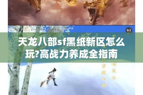 天龙八部sf黑纸新区怎么玩?高战力养成全指南