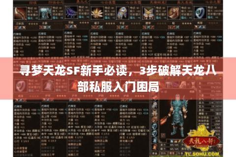 寻梦天龙SF新手必读，3步破解天龙八部私服入门困局
