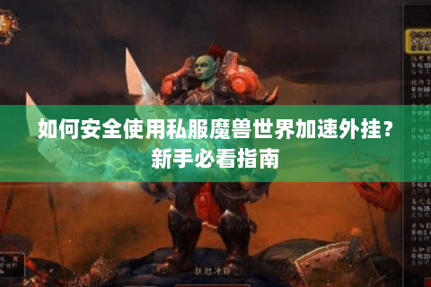 如何安全使用私服魔兽世界加速外挂？新手必看指南