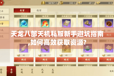 天龙八部天机私服新手避坑指南,如何高效获取资源?