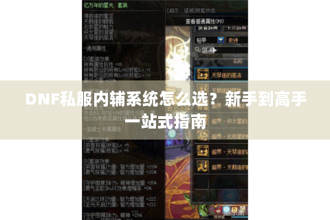 DNF私服内辅系统怎么选？新手到高手一站式指南