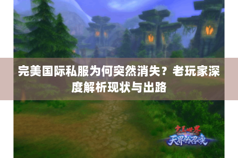 完美国际私服为何突然消失？老玩家深度解析现状与出路