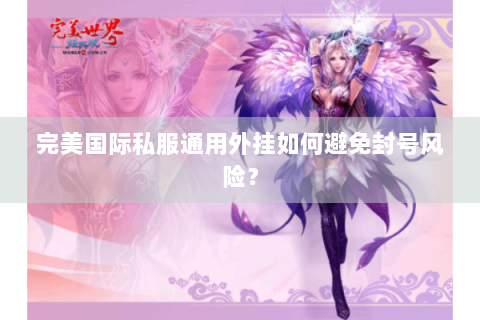 完美国际私服通用外挂如何避免封号风险？