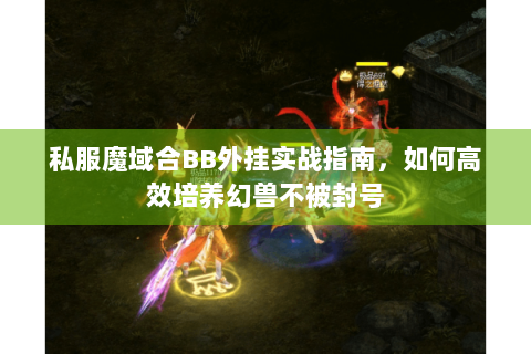 私服魔域合BB外挂实战指南，如何高效培养幻兽不被封号