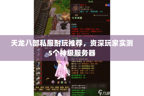 天龙八部私服耐玩推荐，资深玩家实测5个神级服务器