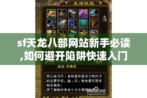 sf天龙八部网站新手必读,如何避开陷阱快速入门?
