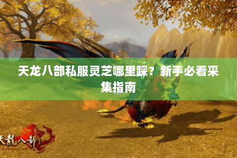 天龙八部私服灵芝哪里踩？新手必看采集指南
