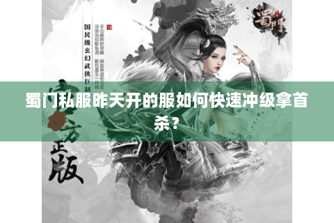 蜀门私服昨天开的服如何快速冲级拿首杀？