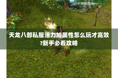 天龙八部私服活力加属性怎么玩才高效?新手必看攻略