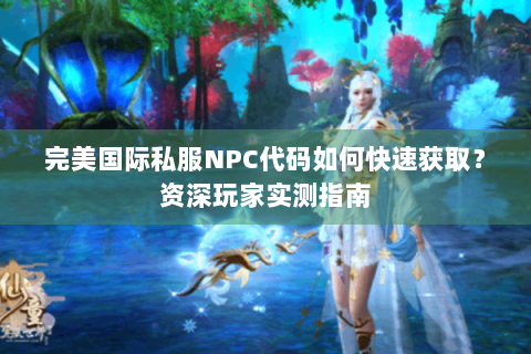 完美国际私服NPC代码如何快速获取？资深玩家实测指南