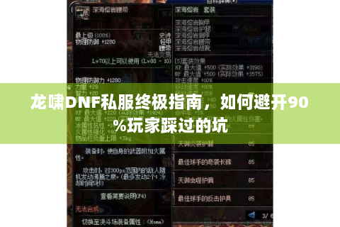 龙啸DNF私服终极指南，如何避开90%玩家踩过的坑