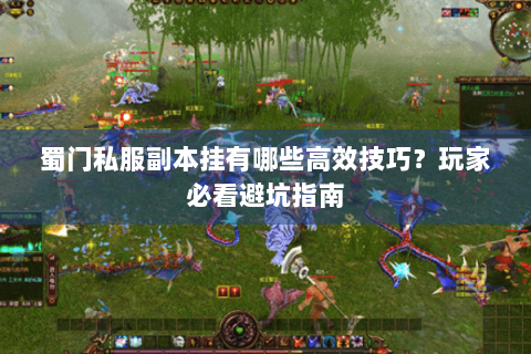 蜀门私服副本挂有哪些高效技巧？玩家必看避坑指南
