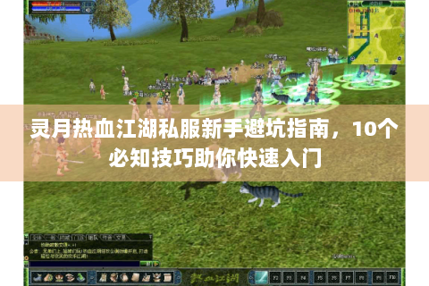 灵月热血江湖私服新手避坑指南，10个必知技巧助你快速入门