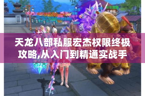 天龙八部私服宏杰权限终极攻略,从入门到精通实战手册