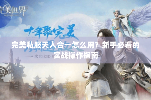 完美私服天人合一怎么用？新手必看的实战操作指南