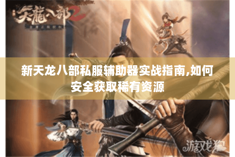 新天龙八部私服辅助器实战指南,如何安全获取稀有资源
