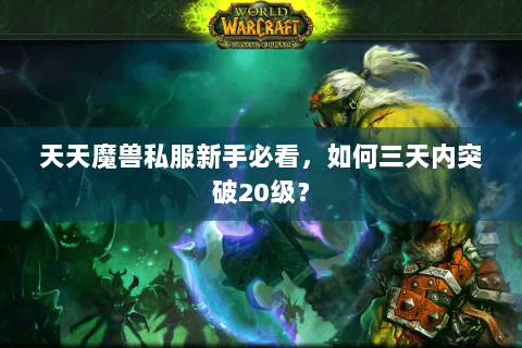 天天魔兽私服新手必看，如何三天内突破20级？