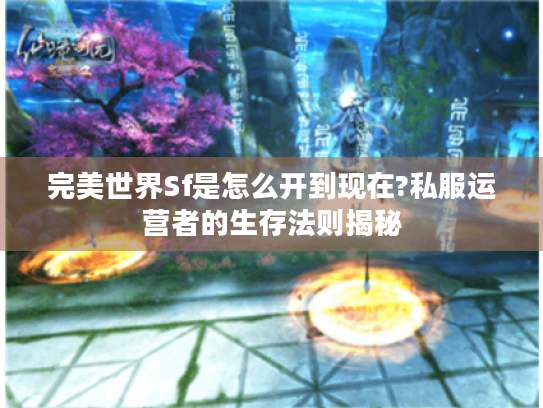 完美世界Sf是怎么开到现在?私服运营者的生存法则揭秘