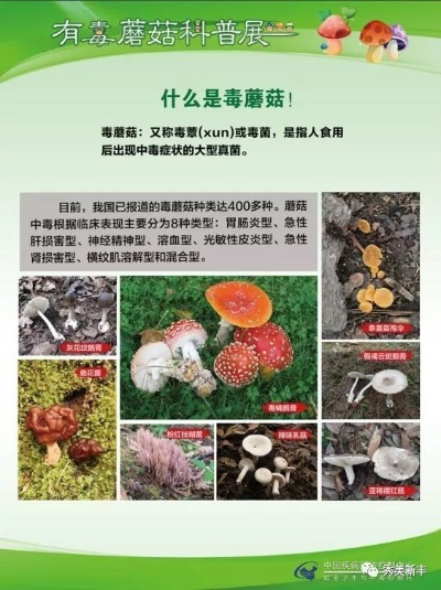《PEAK》生存指南：毒蘑菇识别技巧大揭秘